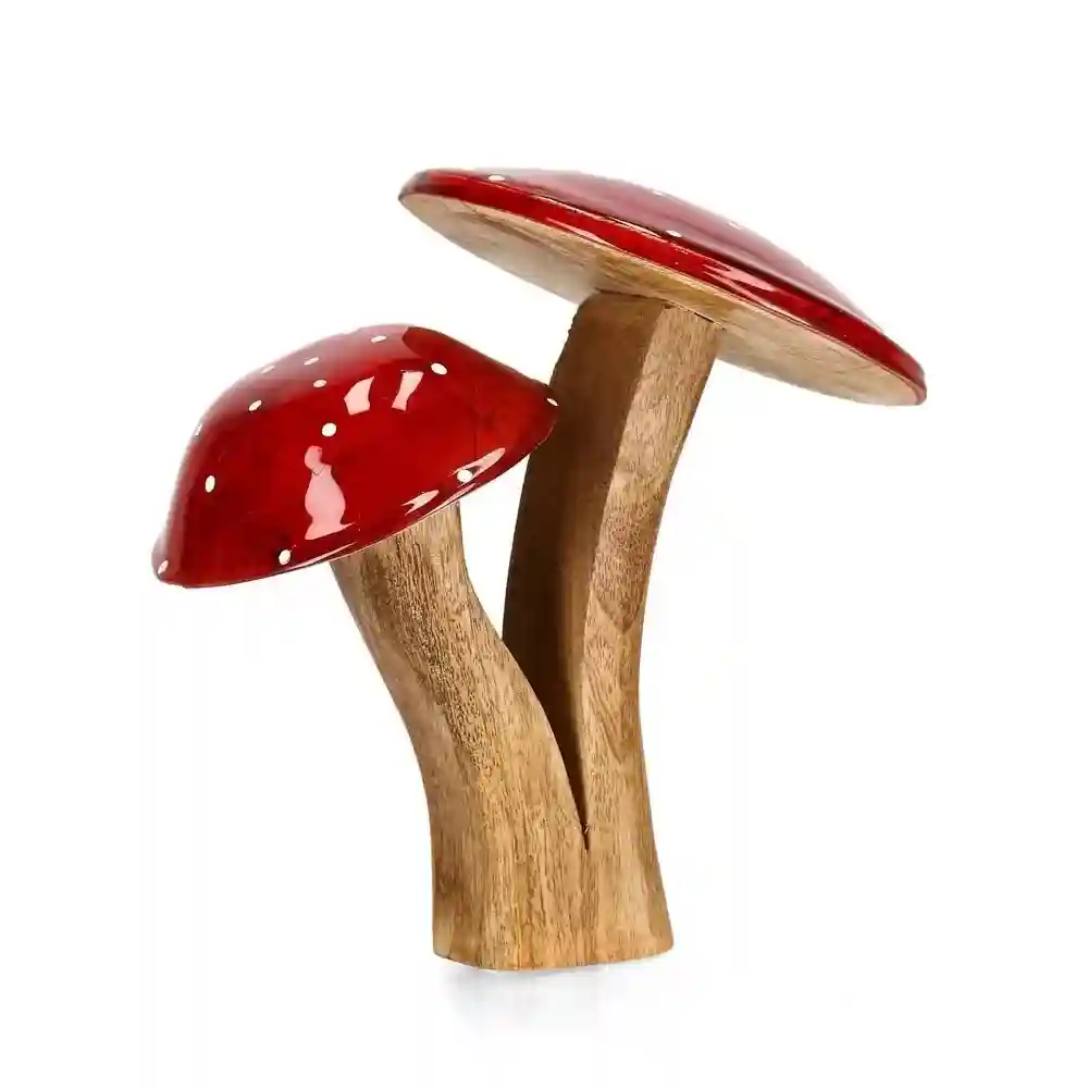 FUNGO JASPER DOPPIO Bizzotto